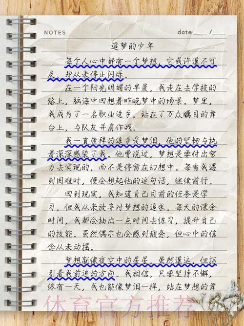 回望|中国之队的2017 梦里依稀有泪光 梦想不止在路上